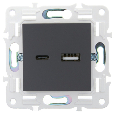SKANDY Розетка USB A+C 3,1А SK-R14T титан IEK