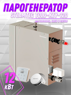 Steamtec TOLO KEY 120 - 12 кВт (ВЛАГОСТОЙКИЙ модуль управления), парогенератор для хамама и турецкой бани