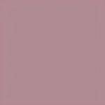 Коляска 2 в 1 Carrello Alfa CRL-6507 2024 Rouge Pink