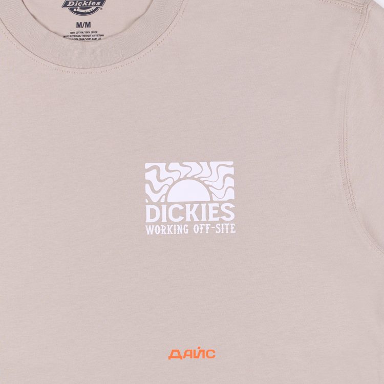 Футболка мужская Dickies Saltville Tee артикул:DK0A4YR9SS01 - купить в магазине Дайс