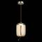 Подвесной светодиодный светильник ST Luce Ozzio SL6108.323.01