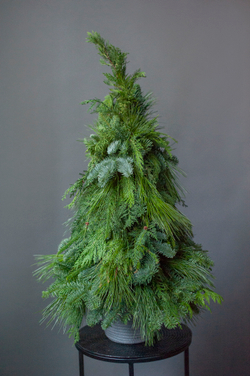 Новогодняя композиция Карелия