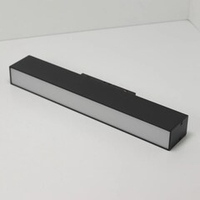 Магнитный светильник "BD-Light Diffuse Premium-1" 300 мм.