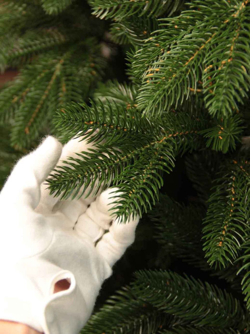 Ель искусственная «Наоми» (Литая хвоя) 3 м