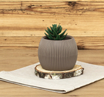 Кашпо ПИКАНТО круглое D115мм 0,35 л с пристегнутым поддоном