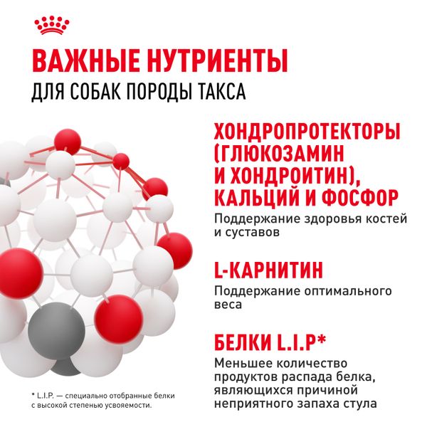 Сухой корм Royal Canin Dachshund Adult для взрослых собак породы Такса от 10 месяцев