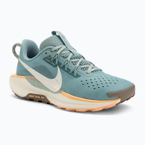 Женские Кроссовки для бега Nike Pegasus Trail 5 cannon/soft pearl/mink brown