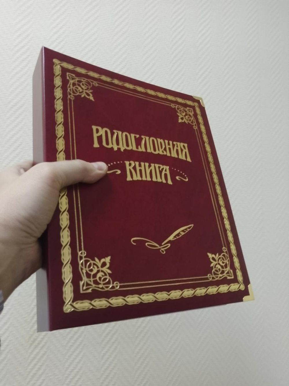 Семейное древо альбом "Классическая" бордовая, обложка балакрон