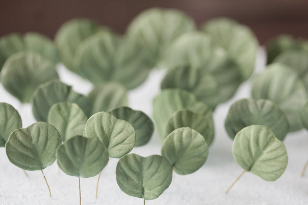 Набор вайнеров для лепки листьев эвкалипта Coprussia