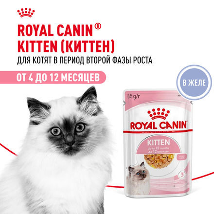 Корм консервированный Royal Canin Kitten Jelly полнорационный для котят до 12 месяцев, кусочки в желе - 85 гр