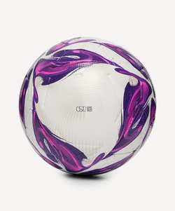 Мяч футбольный Triumph Elite WSL №5