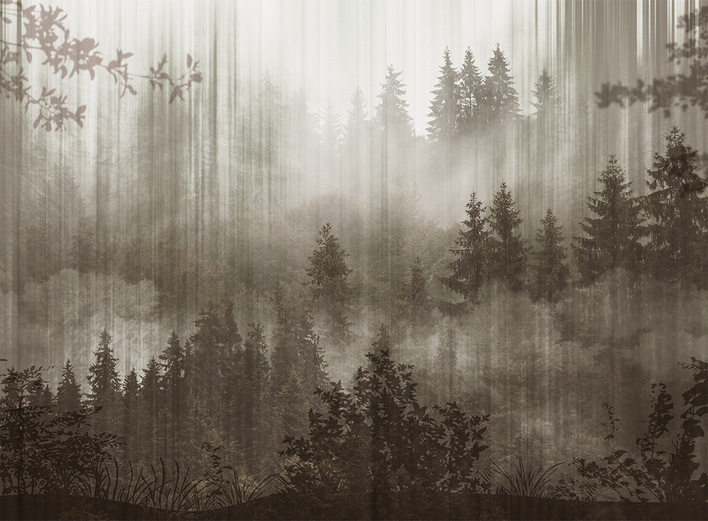 Коллекция FORESTA