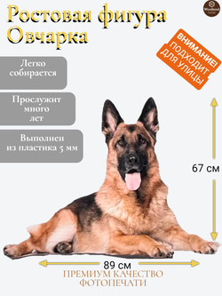 Овчарка
