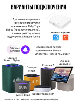 Умное реле Tuya ZigBee с Алисой 2 линии
