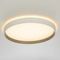 Потолочный светодиодный светильник Citilux Etalon CL750320R