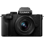 Цифровая фотокамера Panasonic Lumix DC-G100 Kit 12-32mm