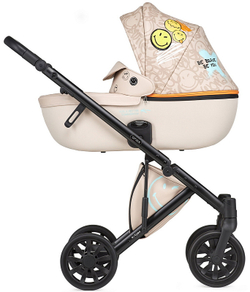 Детская коляска Anex e/type 2 в 1 joy