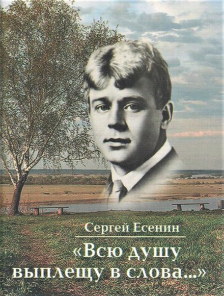 Всю душу выплещу в слова...(миниатюрное издание)