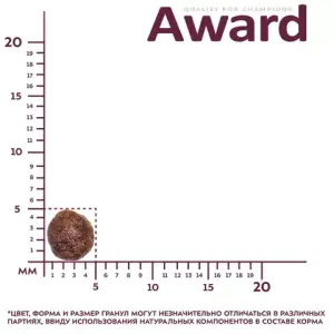 Сухой корм AWARD Indoor Big cats для взрослых домашних кошек крупных пород с говядиной и курицей с добавлением брокколи и юкки Шидигера