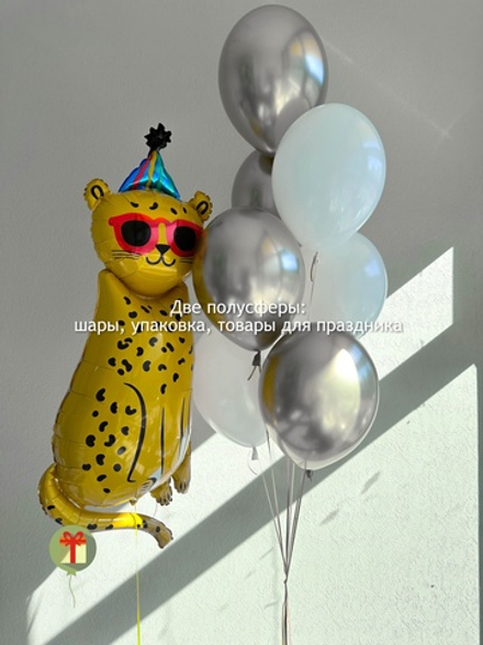 Набор Стильный кот