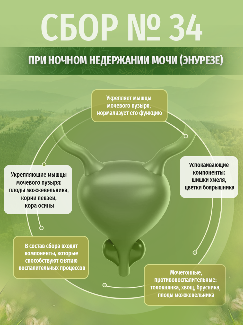 Сбор № 34 при ночном недержании мочи (энурезе)