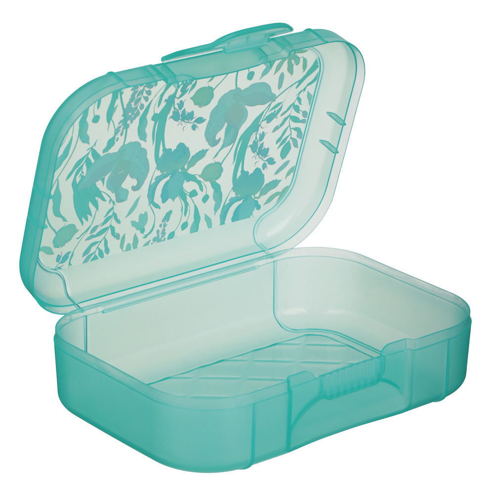 Ботаника Ланч-бокс 0,85л (18х12,5х5,5см), пластик, 3 цвета