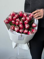 Букет из 25-ти красно-белых тюльпанов