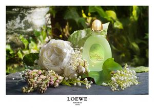 Loewe Aire Evasion