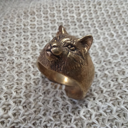 Кольцо. Кот-боец