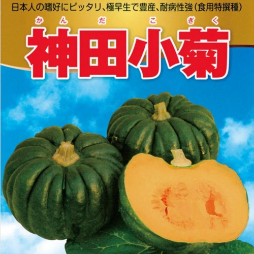 Японская Тыква Кабоча Хризантемка Кикудза - 菊座かぼちゃ