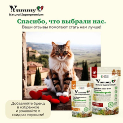 Yummy Linea корм для котят, беременных и кормящих кошек, ягненок, 400 гр