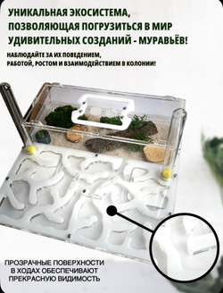Супер большой Формикарий с муравьями в подарок  «XXXL Белый»