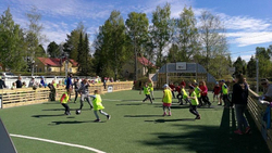 Арена 11х22