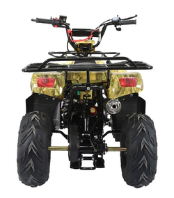 Квадроцикл ATV Termit TT Cross