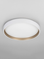 Потолочный светодиодный светильник Citilux Enzo CL753450G