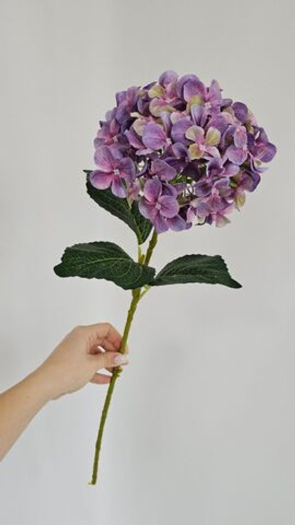 Гортензия / Арт 2100