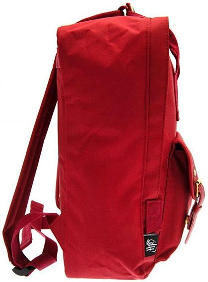 Çanta \ Bag \ Рюкзак Harry Potter Travel bag red Griffindor