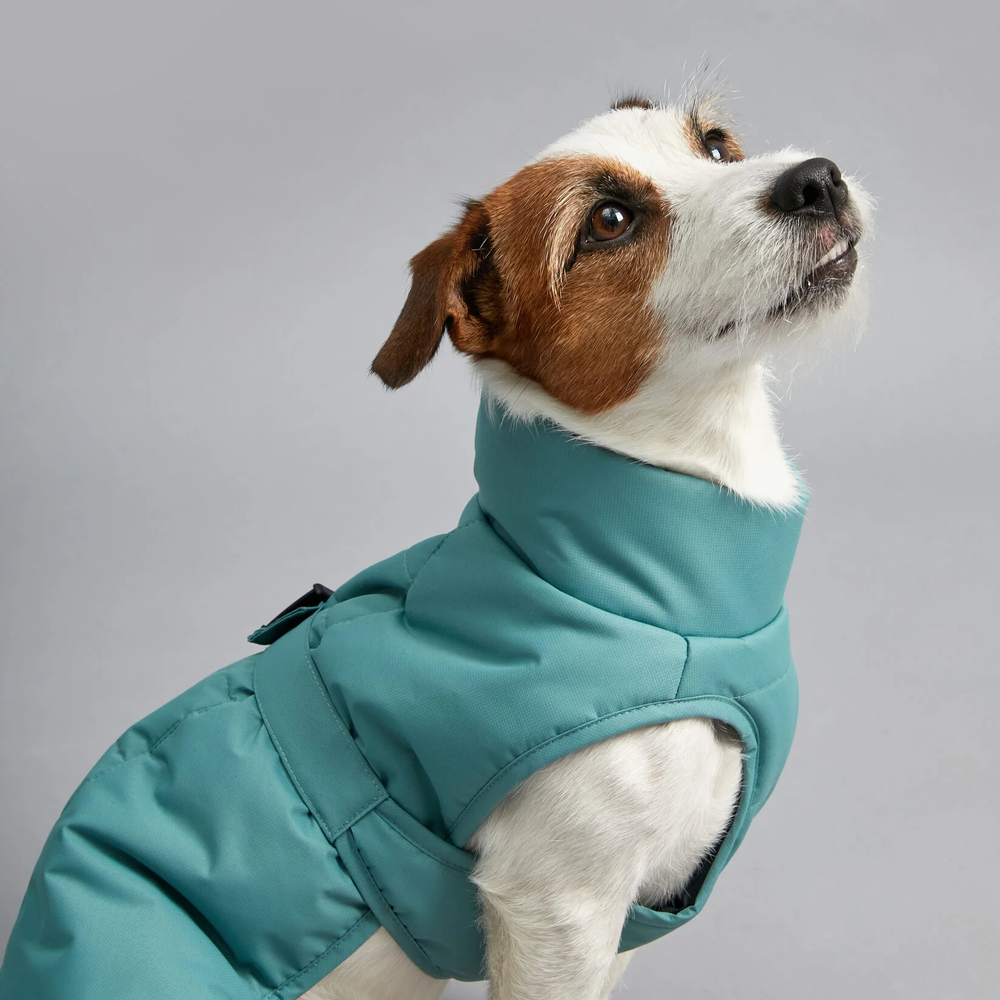 Утепленная попона для маленьких и средних пород собак Muzzle