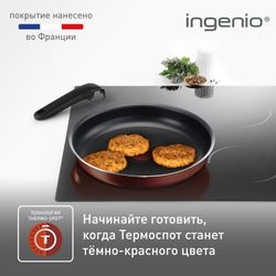Набор сковород Tefal Ingenio RED 5 3 предмета 24/28 см 04175820