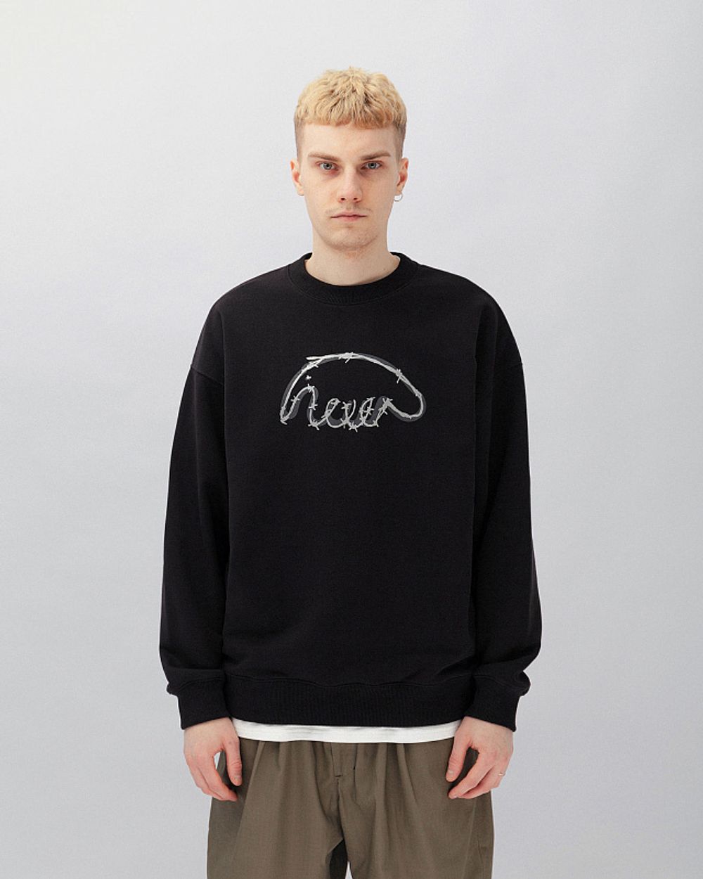 Толстовка Anteater Crewneck Biglogo Black