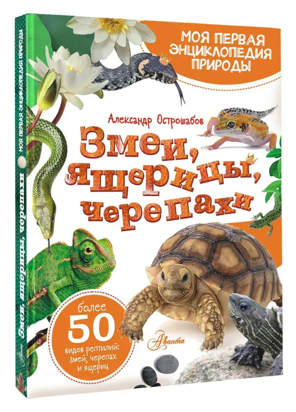 Змеи, ящерицы, черепахи