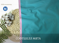 СОФТШЕЛЛ мята