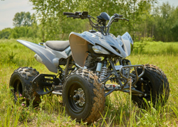 Квадроцикл SHARMAX Raizer Race Cup 250