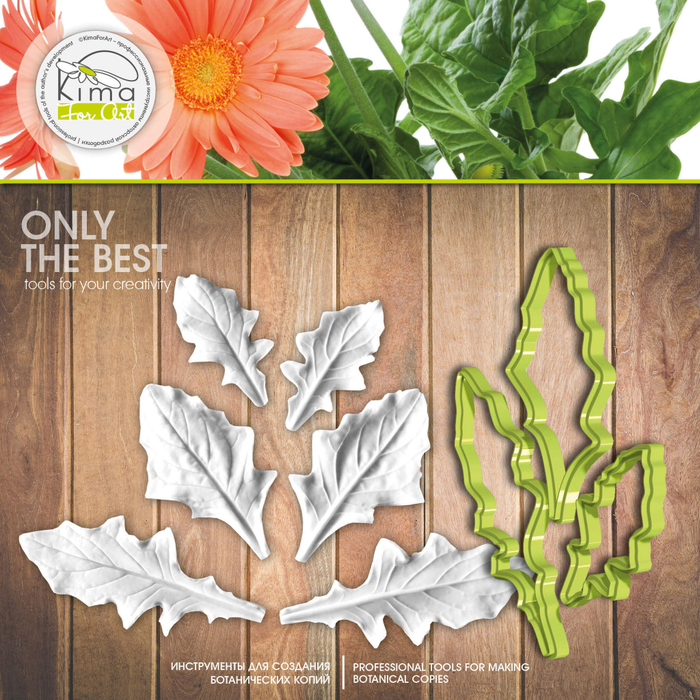 Гербера листья