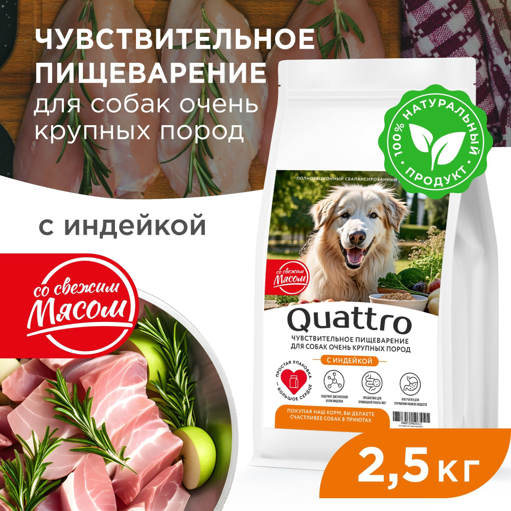 Корм сухой для взрослых собак очень крупных пород, премиум полнорационный комплекс, чувствительное пищеварение, с индейкой, 2,5 кг, QUATTRO