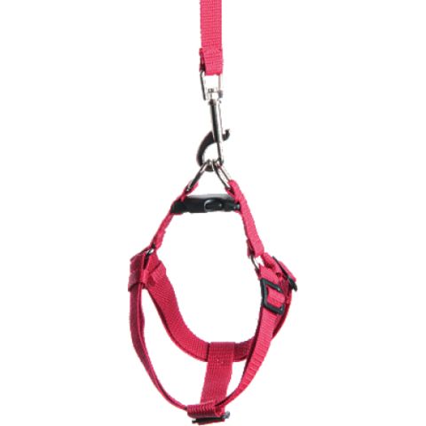 Зооник комплект для средних пород собак (поводок 2м + шлейка) стропа 20мм*5