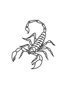 scorpion