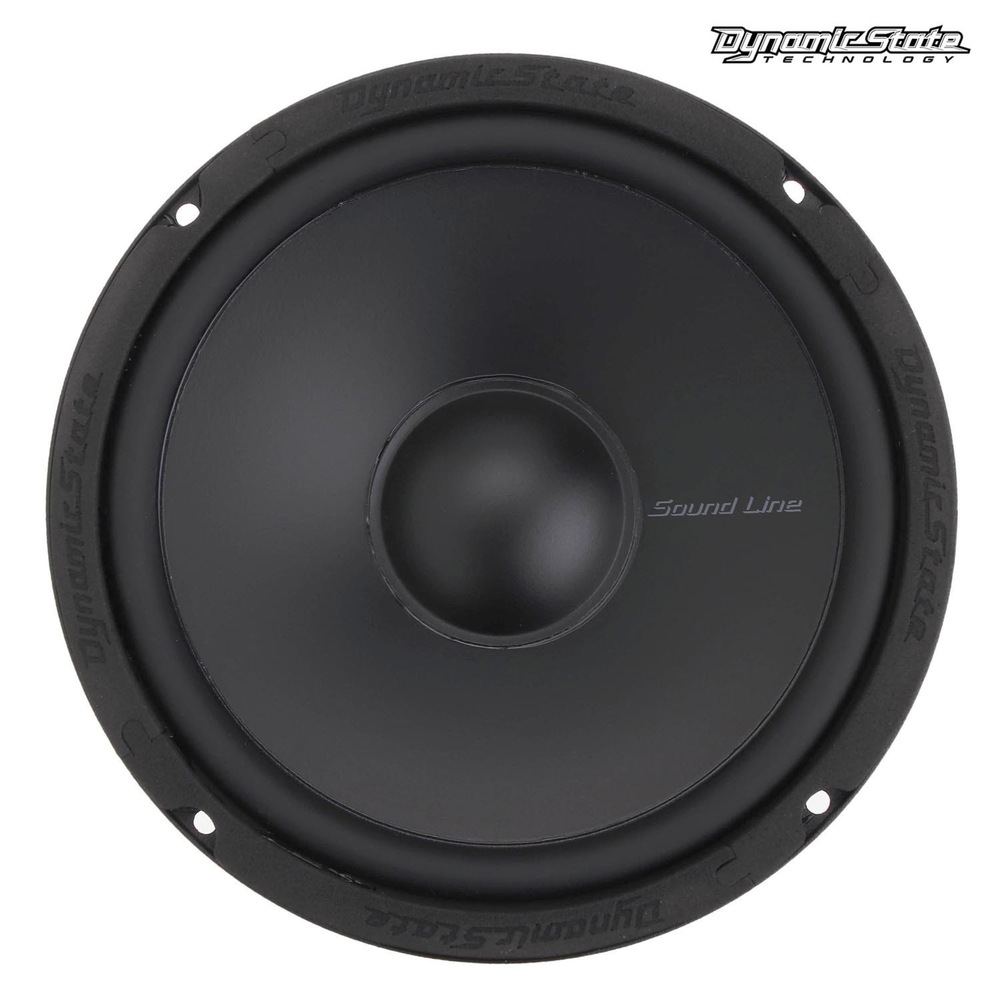 Dynamic State SLB-16M мидвуферы