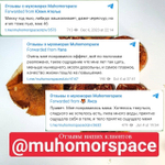 АКЦИЯ 2+1 Перуанская мака экстракт в капсулах курс на 3 месяца, 180 капсул