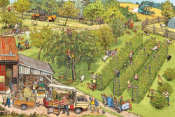 Фермерский рынок. Виммельбух